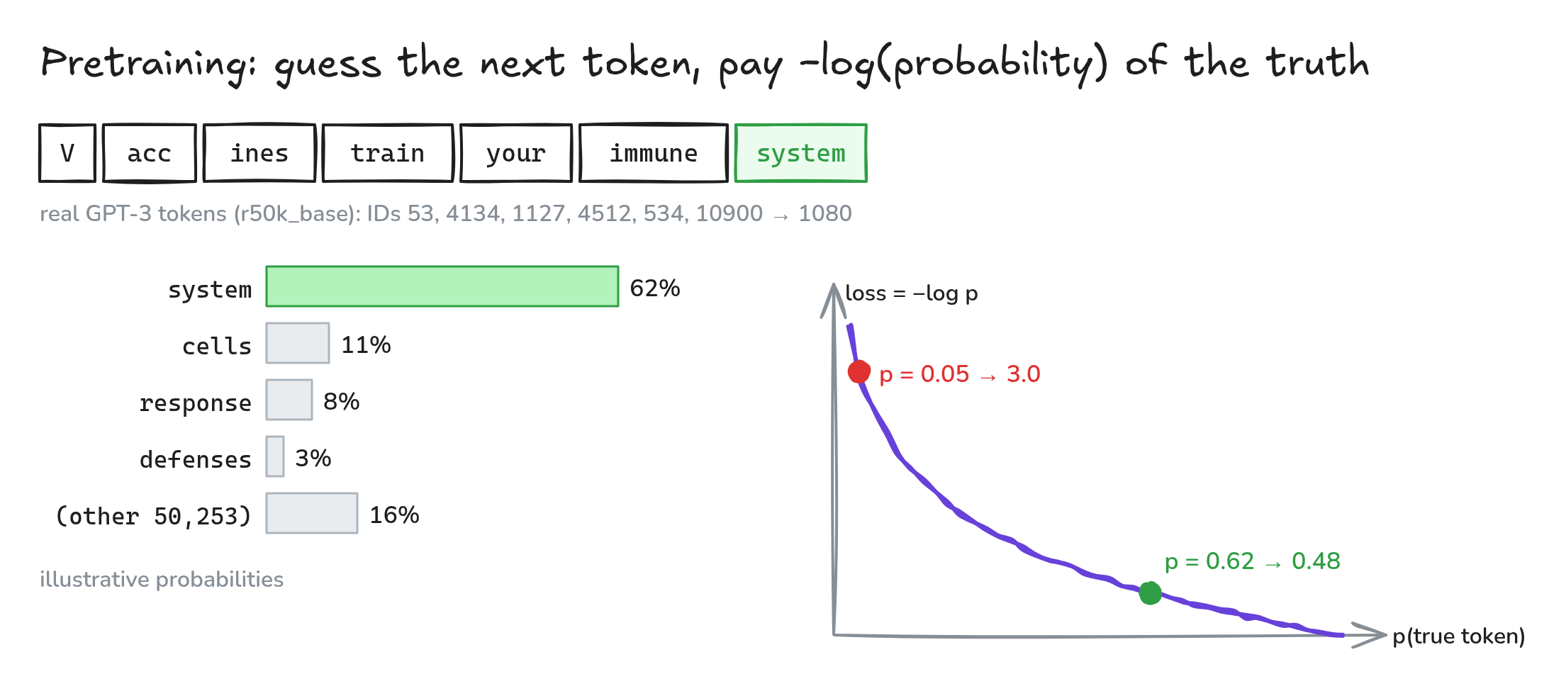 Fig. 2. Next-token guesses for "Vaccines train your immune …" and the −log p loss curve.