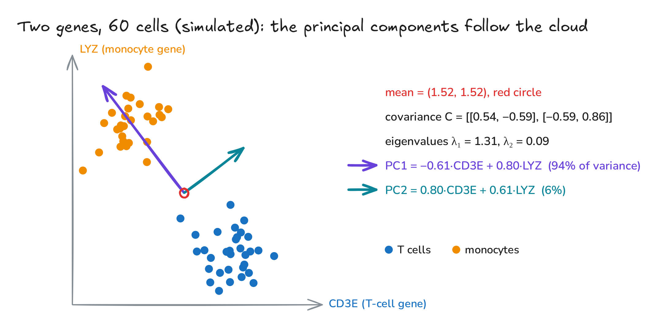 Fig. 1. Two genes, 60 simulated cells, and their principal components
