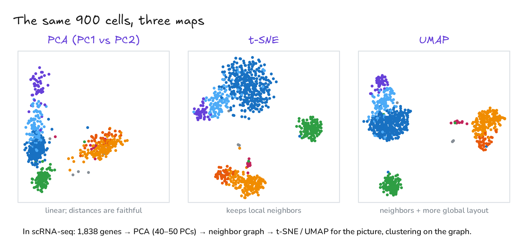 Fig. 5. The same cells, three maps