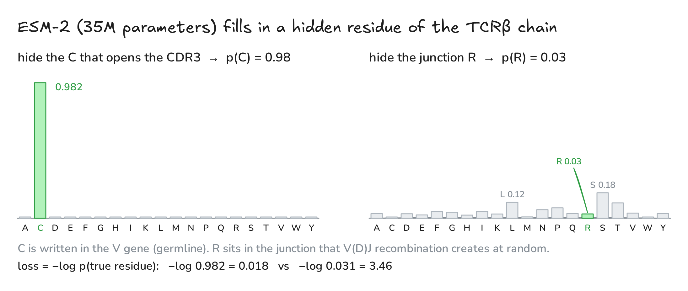 Fig. 7. ESM-2 guesses a hidden residue