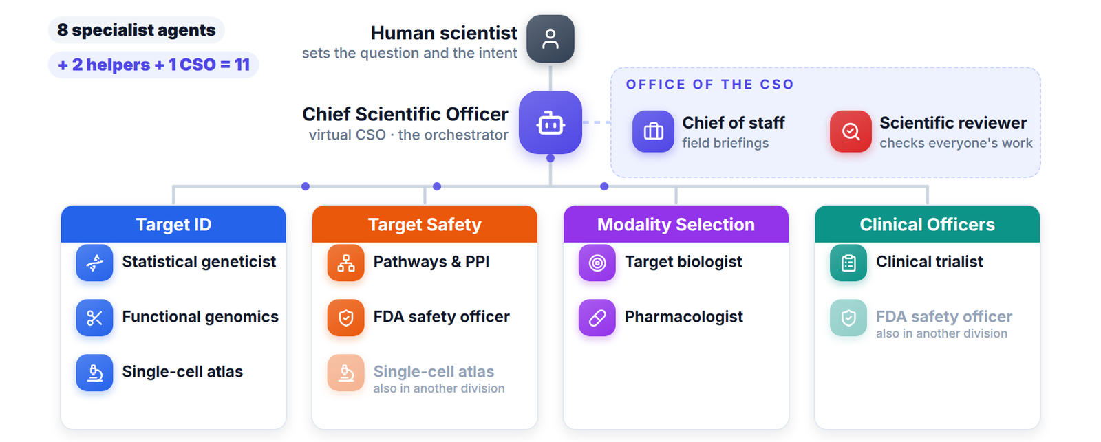 Fig. 1. The organization: a human scientist, a virtual CSO with its office, and four divisions of specialist agents