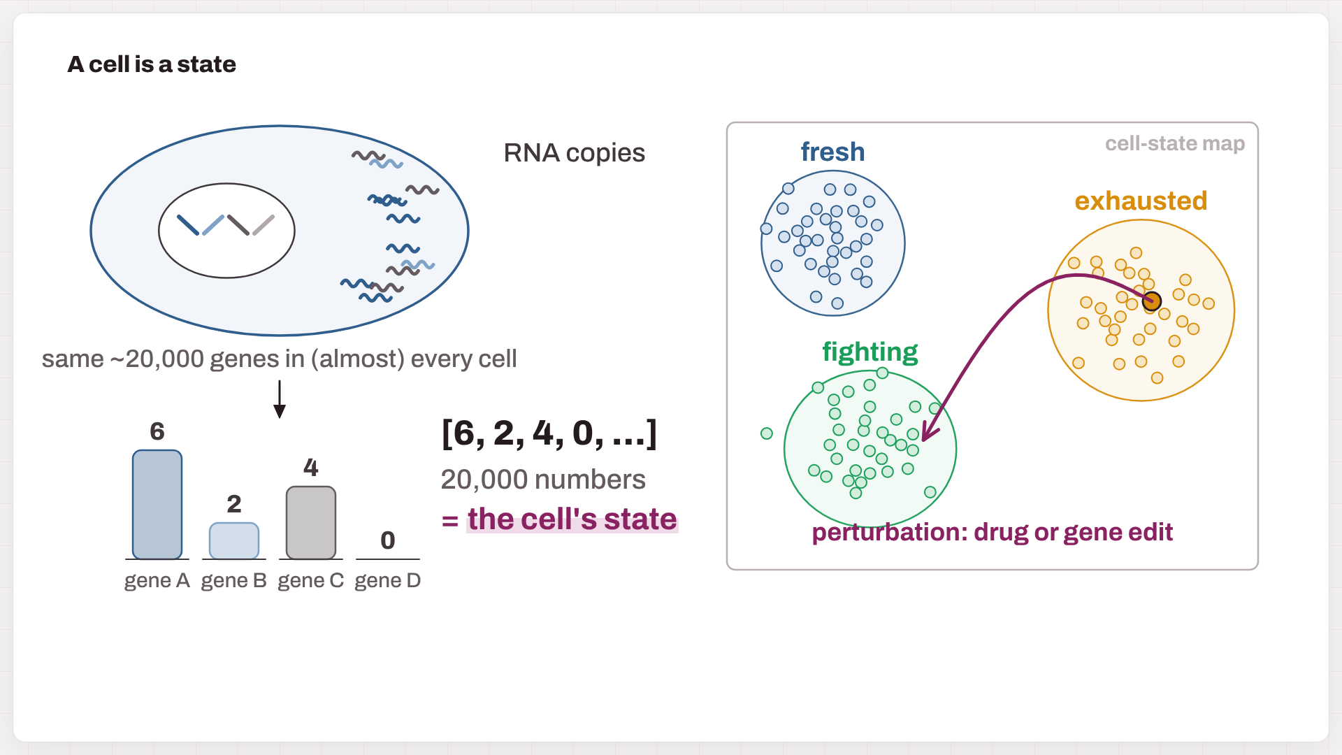 Fig. 1. A cell is a state