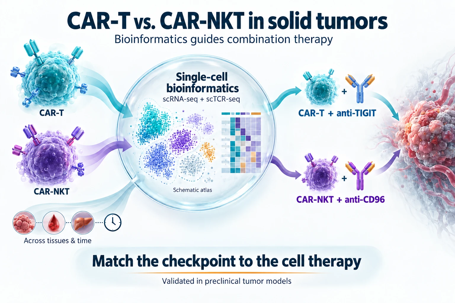 Project card graphic: CAR-T and CAR-NKT cells feed single-cell bioinformatics (scRNA-seq and scTCR-seq) across tissues and time, which matches CAR-T with anti-TIGIT and CAR-NKT with anti-CD96 against a solid tumor.