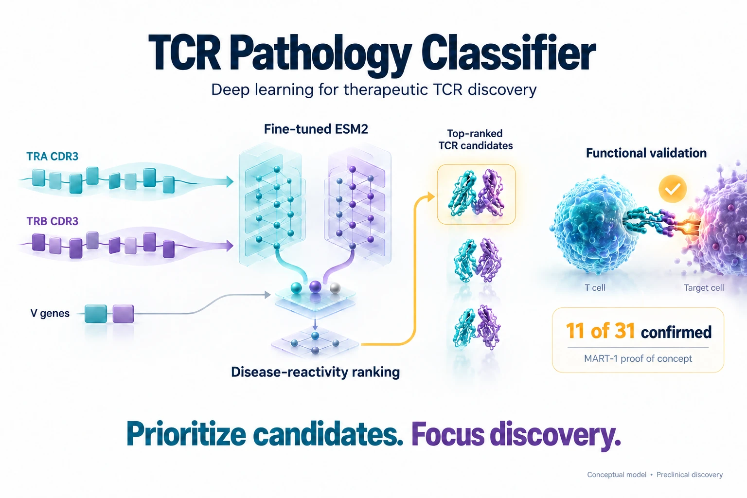 Project card graphic: TRA and TRB CDR3 sequences and V genes pass through fine-tuned ESM2 to rank disease-reactive TCR candidates, with 11 of 31 confirmed in a MART-1 proof of concept.
